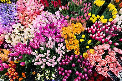 Steam Deck下个月正式开始在澳大利亚开卖